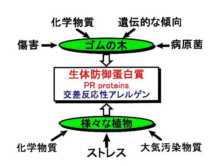 Figure1-J.gif
